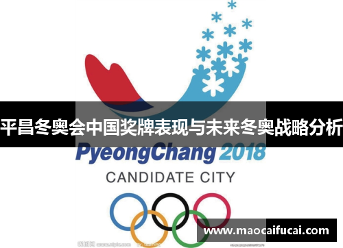 平昌冬奥会中国奖牌表现与未来冬奥战略分析